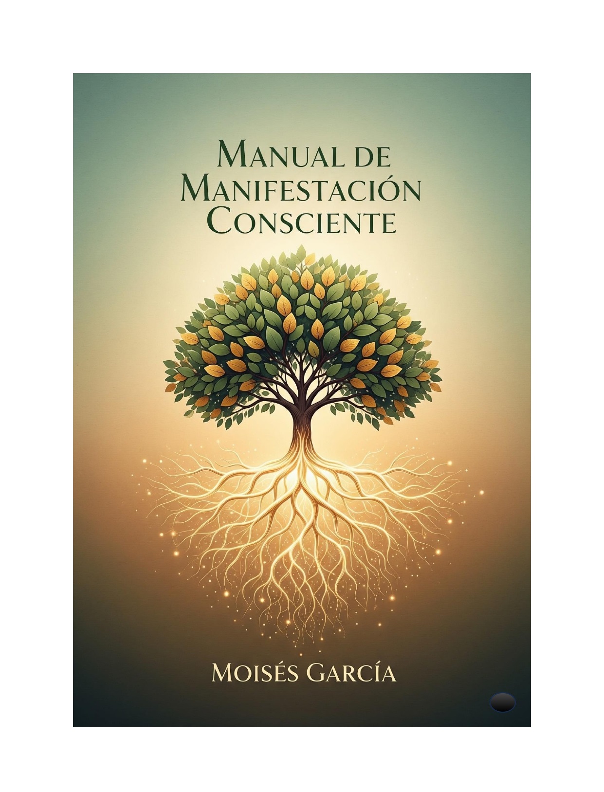 MANUAL DE MANIFESTACIÓN CONSCIENTE - pdf